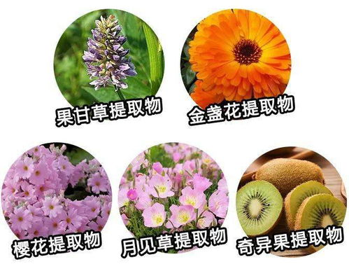 生命不息,美白不止 用 它 一抹即白,輕松get奶油肌 吊帶,背心,短褲任意穿 皮膚