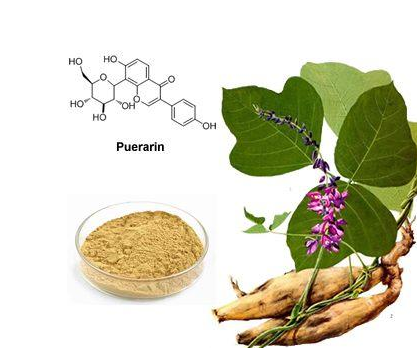 植物提取物加盟