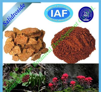 【陜西慧科廠家優(yōu)質(zhì)山楂提取物】價格_廠家_圖片 -