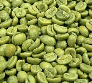 綠咖啡豆提取物綠原酸長沙上禾生物植物提取物系列