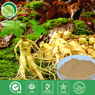 植物提取物-廠家供應 人參 根 提取物 人參總皂甙5%-80%-植物提取物.