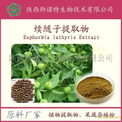 續(xù)隨子提取物的植物特性及其應(yīng)用價值