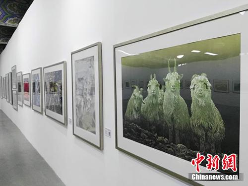 雞西版畫晉京展，黑土地藝術之花綻放北京