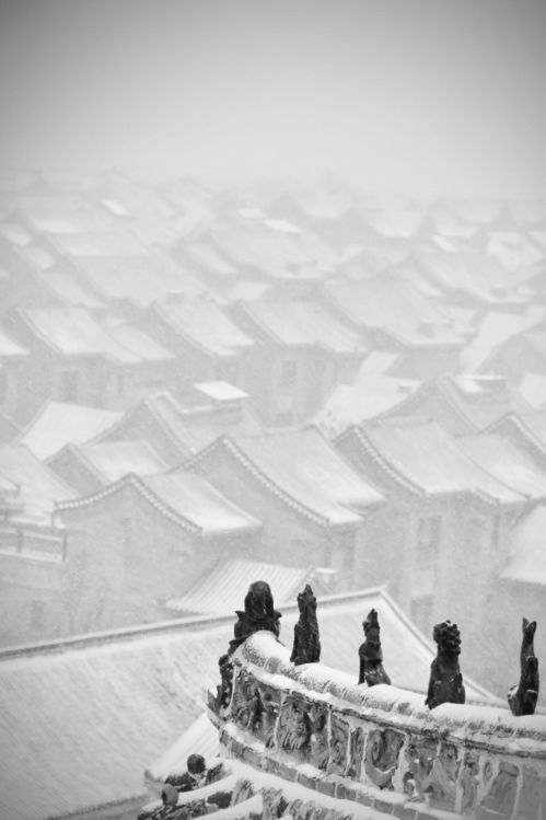 攝影名家李超作品欣賞 風雪行中的文藝創作